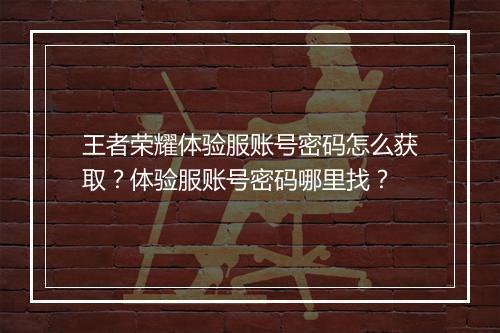 王者荣耀体验服账号密码怎么获取?体验服账号密码哪里找?