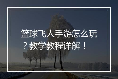 篮球飞人手游怎么玩?教学教程详解!