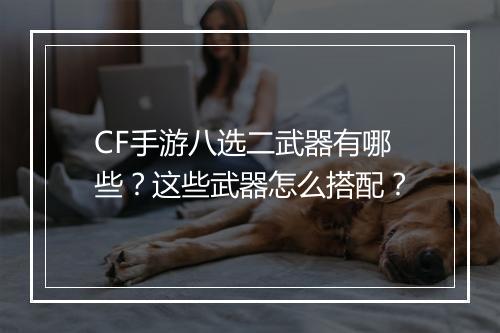 CF手游八选二武器有哪些?这些武器怎么搭配?