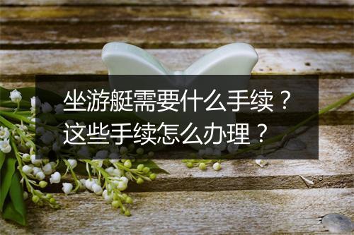 坐游艇需要什么手续?这些手续怎么办理?
