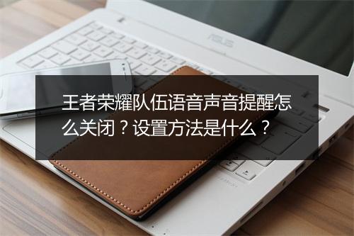 王者荣耀队伍语音声音提醒怎么关闭？设置方法是什么？