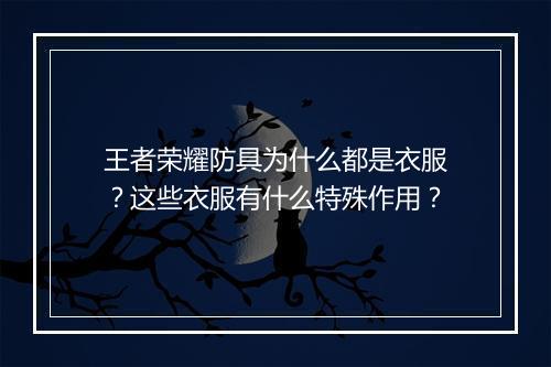 王者荣耀防具为什么都是衣服?这些衣服有什么特殊作用?