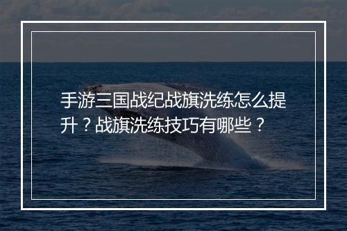 手游三国战纪战旗洗练怎么提升?战旗洗练技巧有哪些?