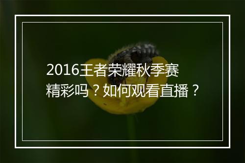 2016王者荣耀秋季赛精彩吗?如何观看直播?