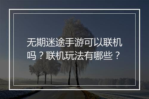 无期迷途手游可以联机吗?联机玩法有哪些?