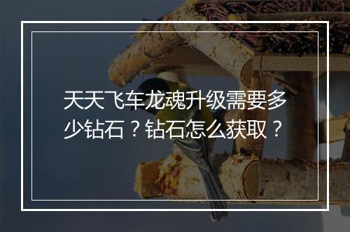 天天飞车龙魂升级需要多少钻石?钻石怎么获取?