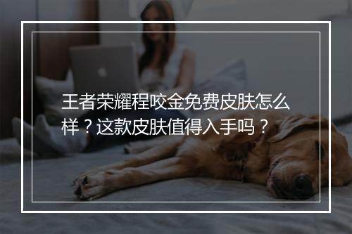 王者荣耀程咬金免费皮肤怎么样?这款皮肤值得入手吗?