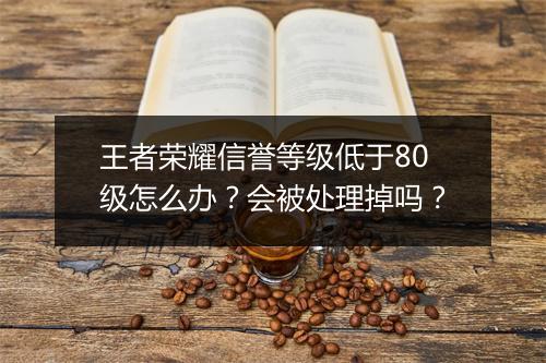 王者荣耀信誉等级低于80级怎么办?会被处理掉吗?