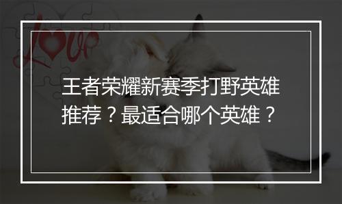 王者荣耀新赛季打野英雄推荐?最适合哪个英雄?