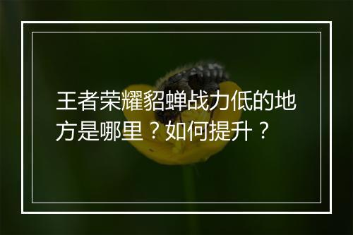 王者荣耀貂蝉战力低的地方是哪里?如何提升?