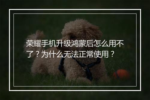 荣耀手机升级鸿蒙后怎么用不了?为什么无法正常使用?