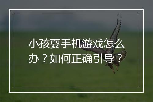 小孩耍手机游戏怎么办?如何正确引导?