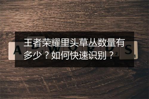王者荣耀里头草丛数量有多少?如何快速识别?