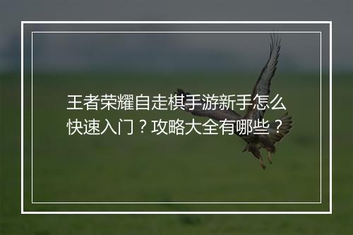 王者荣耀自走棋手游新手怎么快速入门?攻略大全有哪些?