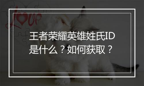 王者荣耀英雄姓氏ID是什么?如何获取?