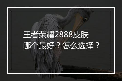 王者荣耀2888皮肤哪个最好?怎么选择?