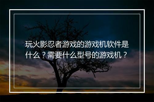 玩火影忍者游戏的游戏机软件是什么?需要什么型号的游戏机?