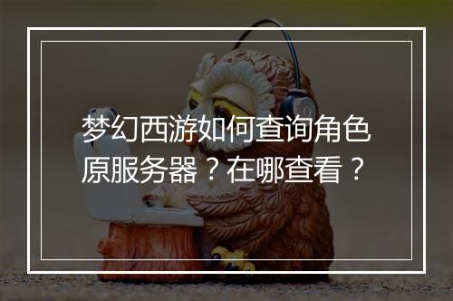 梦幻西游如何查询角色原服务器?在哪查看?