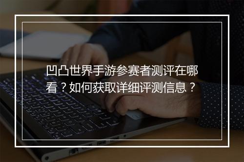 凹凸世界手游参赛者测评在哪看?如何获取详细评测信息?