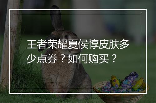 王者荣耀夏侯惇皮肤多少点券?如何购买?