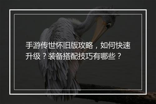 手游传世怀旧版攻略,如何快速升级?装备搭配技巧有哪些?
