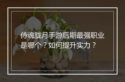 侍魂胧月手游后期最强职业是哪个?如何提升实力?