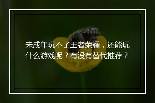 未成年玩不了王者荣耀,还能玩什么游戏呢?有没有替代推荐?