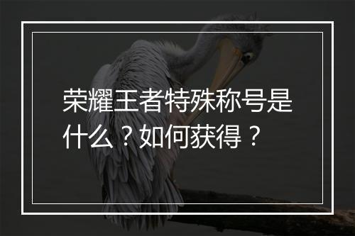 荣耀王者特殊称号是什么？如何获得？