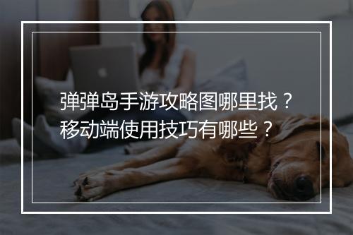 弹弹岛手游攻略图哪里找?移动端使用技巧有哪些?