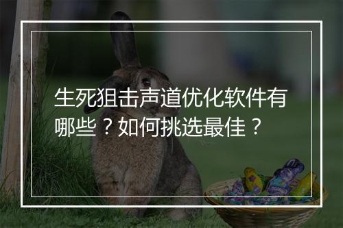 生死狙击声道优化软件有哪些？如何挑选最佳？