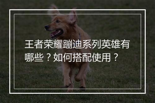 王者荣耀蹦迪系列英雄有哪些？如何搭配使用？