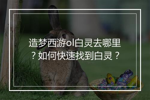 造梦西游ol白灵去哪里？如何快速找到白灵？