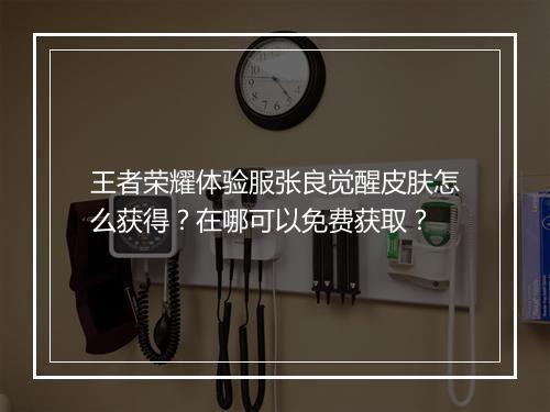 王者荣耀体验服张良觉醒皮肤怎么获得?在哪可以免费获取?