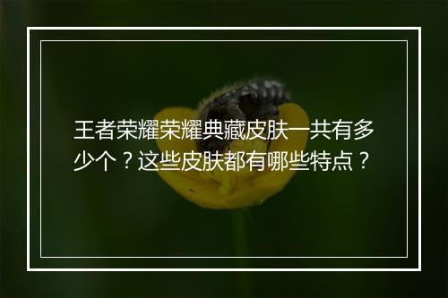 王者荣耀荣耀典藏皮肤一共有多少个?这些皮肤都有哪些特点?