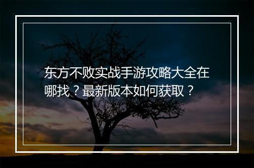 东方不败实战手游攻略大全在哪找?最新版本如何获取?
