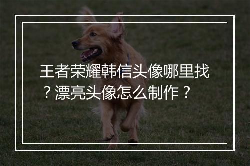 王者荣耀韩信头像哪里找？漂亮头像怎么制作？