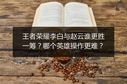 王者荣耀李白与赵云谁更胜一筹?哪个英雄操作更难?