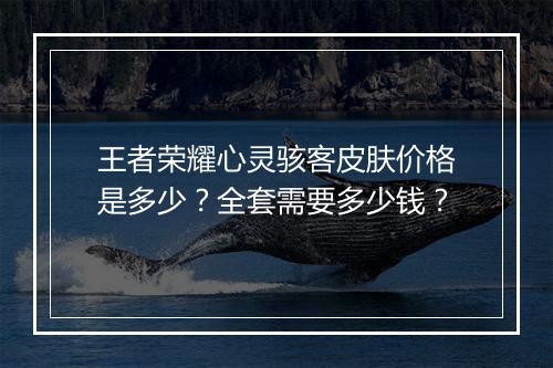 王者荣耀心灵骇客皮肤价格是多少?全套需要多少钱?