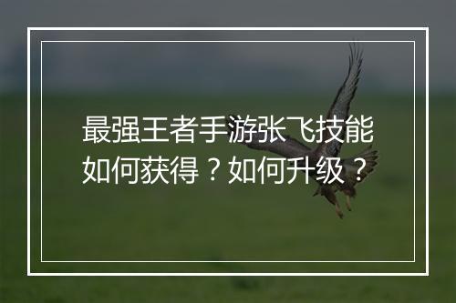 最强王者手游张飞技能如何获得?如何升级?