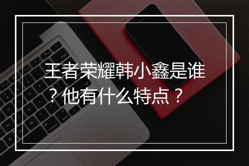 王者荣耀韩小鑫是谁?他有什么特点?