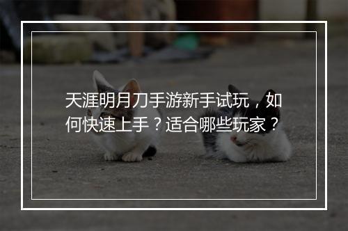天涯明月刀手游新手试玩,如何快速上手?适合哪些玩家?