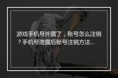 游戏手机号外露了,账号怎么注销?手机号泄露后账号注销方法是什么?