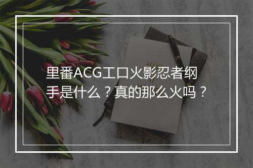 里番ACG工口火影忍者纲手是什么?真的那么火吗?
