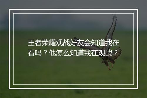 王者荣耀观战好友会知道我在看吗?他怎么知道我在观战?