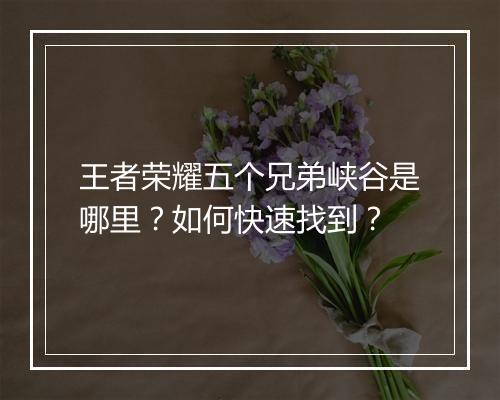 王者荣耀五个兄弟峡谷是哪里?如何快速找到?