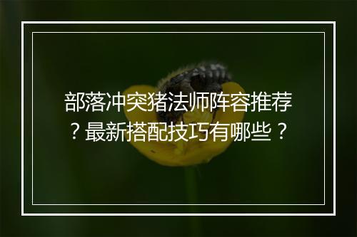 部落冲突猪法师阵容推荐?最新搭配技巧有哪些?