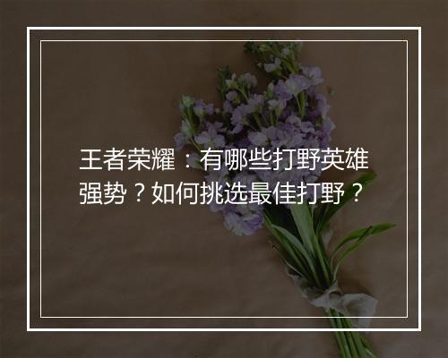 王者荣耀:有哪些打野英雄强势?如何挑选最佳打野?