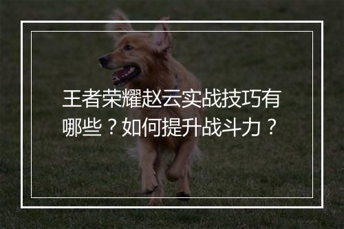 王者荣耀赵云实战技巧有哪些？如何提升战斗力？