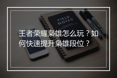 王者荣耀枭雄怎么玩?如何快速提升枭雄段位?