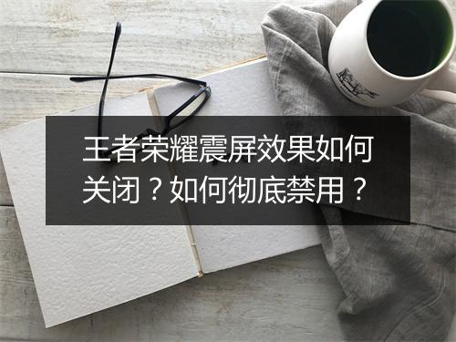 王者荣耀震屏效果如何关闭?如何彻底禁用?
